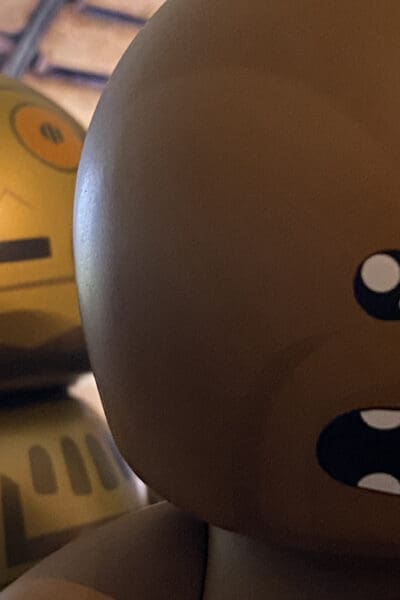 Mighty Muggs C-3PO and Chewbacca