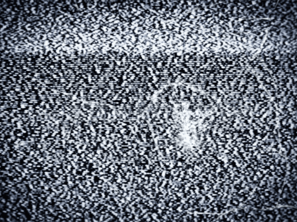 Mighty Muggs Star Wars Ewoks