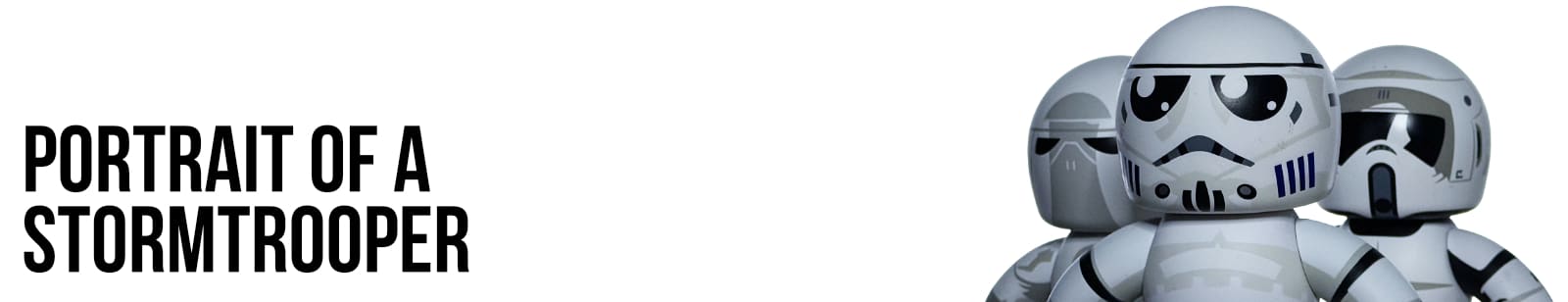 Portrait of a Stormtrooper